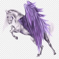 fairy 🐎horse(Niro)