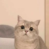 แอด