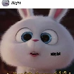 ♡●♡