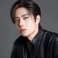 Wang Lan