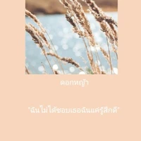แอดเองงง