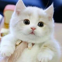 น้ององุ่น
