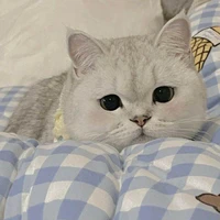 แอด