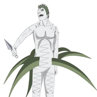Zetsu 3