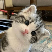 ฟูๆ