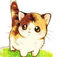 kitty