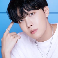 Hobi