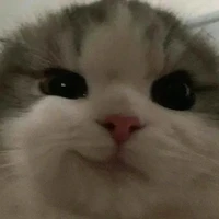 มู่มู่[ระบบ]