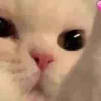 ฮาหลี่[ระบบเจมส์]