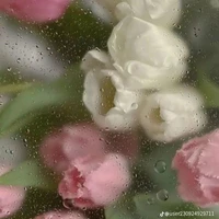 <[ระบบ]>