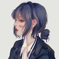 GEOMETRY - FL ASSASSIN