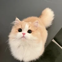 เอมิ