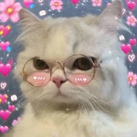 ยูริ🌾✨(เพื่อนแอด)