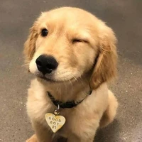 Oliver
