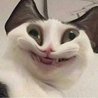 แอด