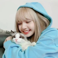 Jung lisa