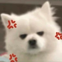 แอด