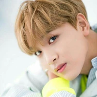 Seo Haechan 🐻