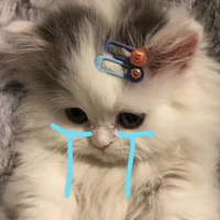 แอดสุดบ้า