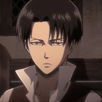 Levi