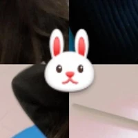 🐰