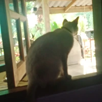 ครู