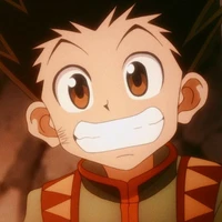 Gon