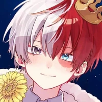 Shoto Todoroki