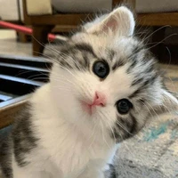 ฟูๆ