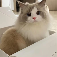 ยูริ