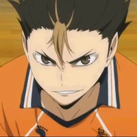 nisinoya