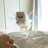 แอดเอง