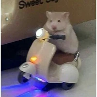 .