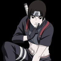 sai