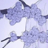 เหยื่อ