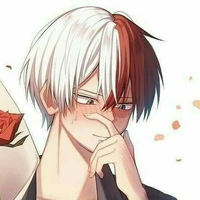 ❄Shoto Todoroki🔥