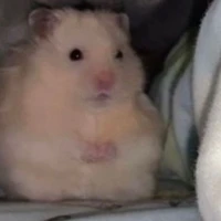 มิหมิว
