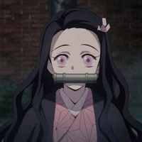 เนสิโกะ