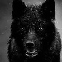 พ.อ.ในร่างหมาป่า