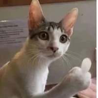 น.อ.ร่างเก่า