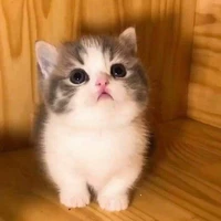 ฟูๆ