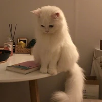 อองฟอง