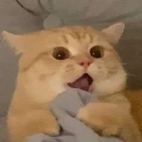 เมฆ