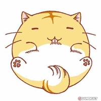 โปโป (ระบบ)