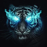 เสริส(เสือ เวทมนตร์)