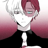 shoto todoroki