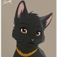 Miya