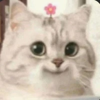 เเอดเอง