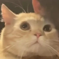 น้อนเเอดคนดีคนงามเองคร่ะ