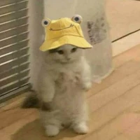 𝒂𝒖𝒕𝒉𝒐𝒓